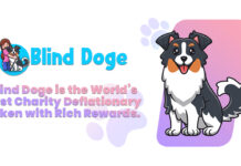 Blind Doge