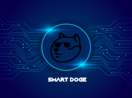 smart doge
